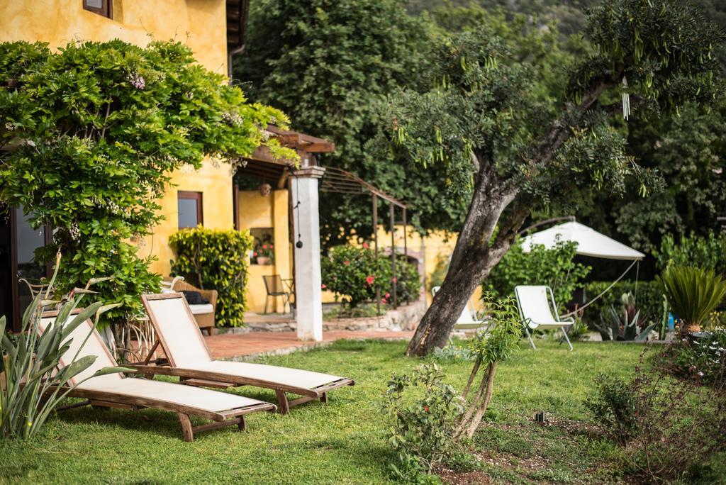 B&B Calandrella Maratea Exterior foto